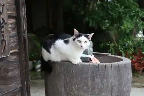 観音正寺(滋賀県)