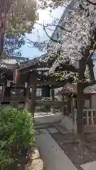 本教寺(京都府)