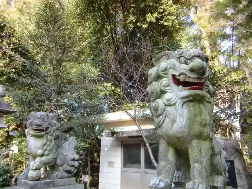 大宝八幡宮の狛犬