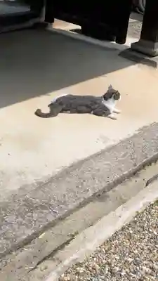 常谷寺(奈良県)