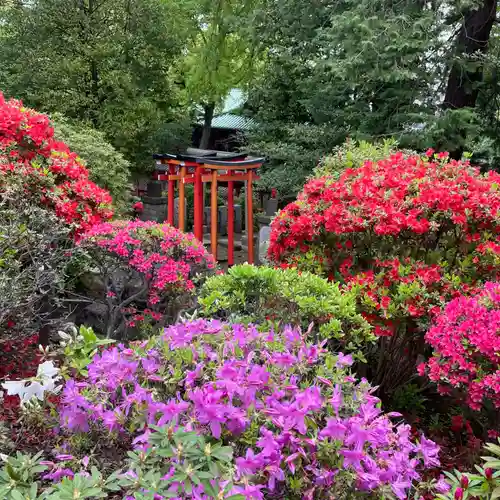 根津神社の自然