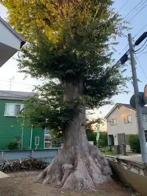 妙見神社(千葉県)