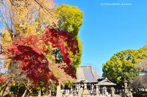 鑁阿寺(栃木県)