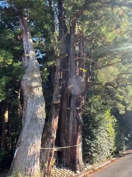 萩日吉神社(埼玉県)