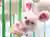ぴょんさんのプロフィール画像