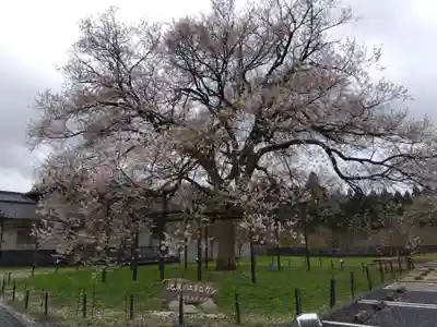 霊泉寺(福井県)
