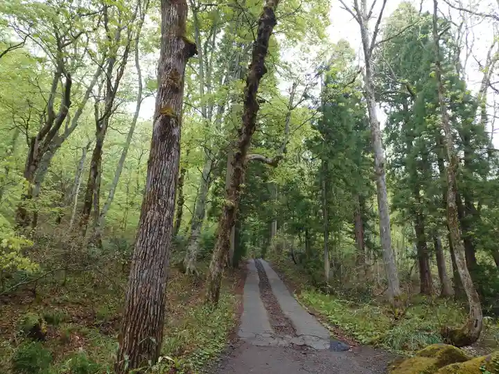 戸隠神社奥社(長野県)
