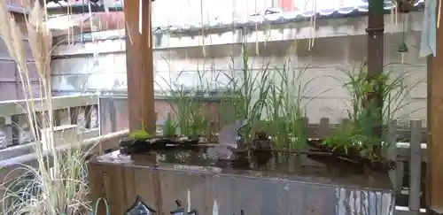 小野照崎神社の手水舎