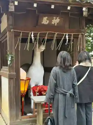 今宮神社(京都府)