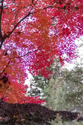 諏訪大社下社秋宮(長野県)