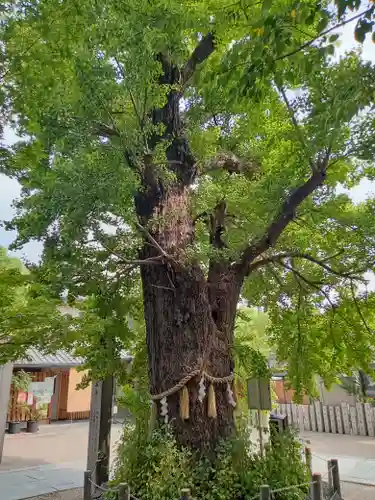 白山神社(大阪府)