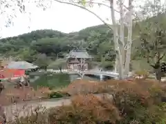 勝尾寺の庭園