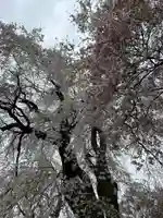 勝間薬師堂(長野県)