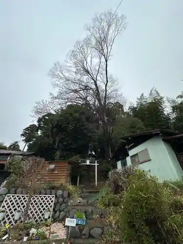 熊野三社(神奈川県)