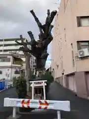 白光大神 (大阪府)