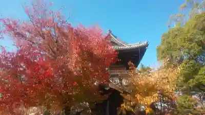 大樹寺（松安院大樹寺）(愛知県)