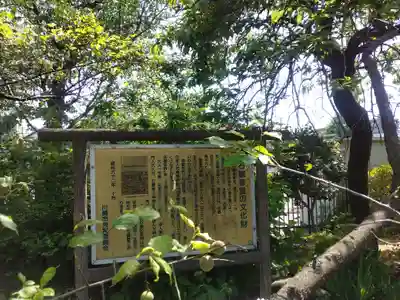 石観音(神奈川県)