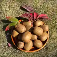 秩父札所十三番 慈眼寺(埼玉県)