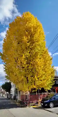 島原住吉神社(京都府)