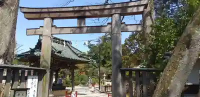 越ヶ谷久伊豆神社の鳥居
