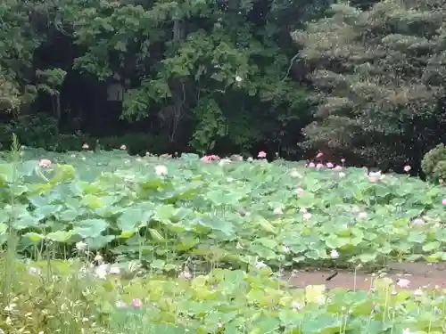 勧修寺(京都府)