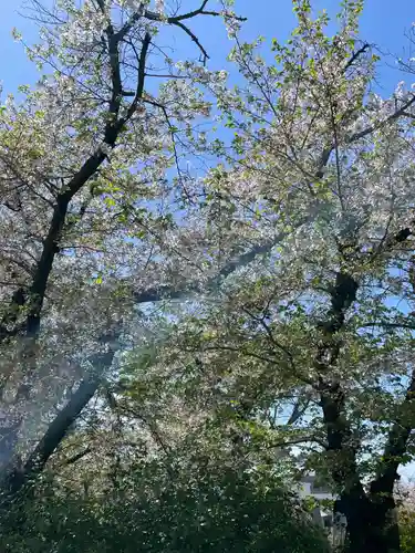 宿院頓宮(大阪府)