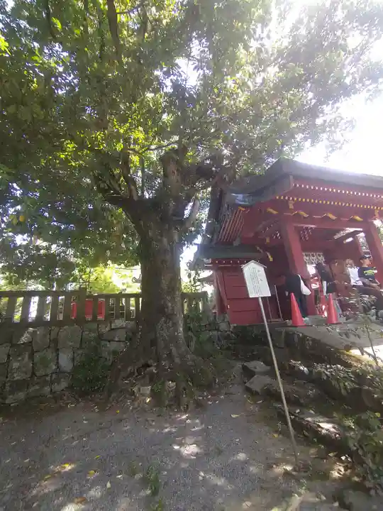 一之宮貫前神社(群馬県)