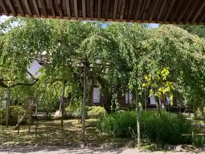 毘沙門堂門跡(京都府)