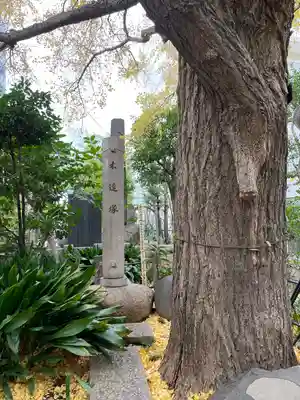 回向院(東京都)