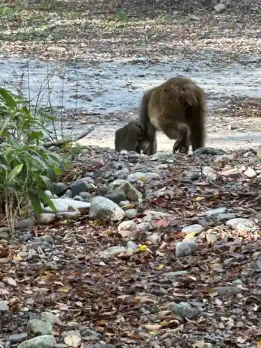 穂高神社奥宮(長野県)