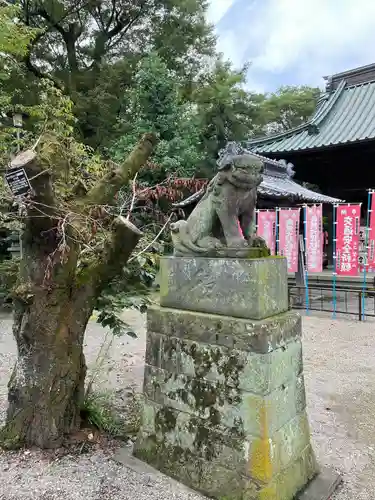 妻沼聖天山歓喜院の狛犬