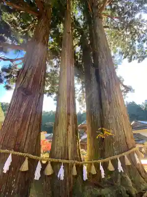 金剛三昧院(和歌山県)