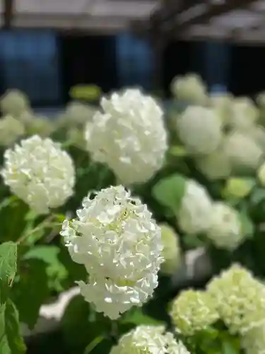 極楽寺(静岡県)