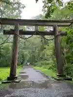 戸隠神社奥社の{uncategorized: "未分類", other: "その他", undefined: "問題あり", building: "その他建物", grave: "お墓", sacred_gate: "鳥居", guardian: "狛犬", statue: "像", buddha: "仏像", history: "歴史", nature: "自然", garden: "庭園", animal: "動物", pagoda: "塔", temizu: "手水舎", mountain_gate: "山門・神門", sanctuary: "本殿・本堂", subordinate: "末社・摂社", art: "芸術", scenery: "景色", jizo: "地蔵", ema: "絵馬", goshuin: "御朱印", omikuji: "おみくじ", items: "授与品その他", amulet: "お守り", goshuincho: "御朱印帳", eats: "食事", festival: "お祭り", votive_dance: "神楽", shichigosan: "七五三参", wedding: "結婚式", experience: "体験その他", initially: "初詣", around: "周辺", anti_infection: "感染症対策"}