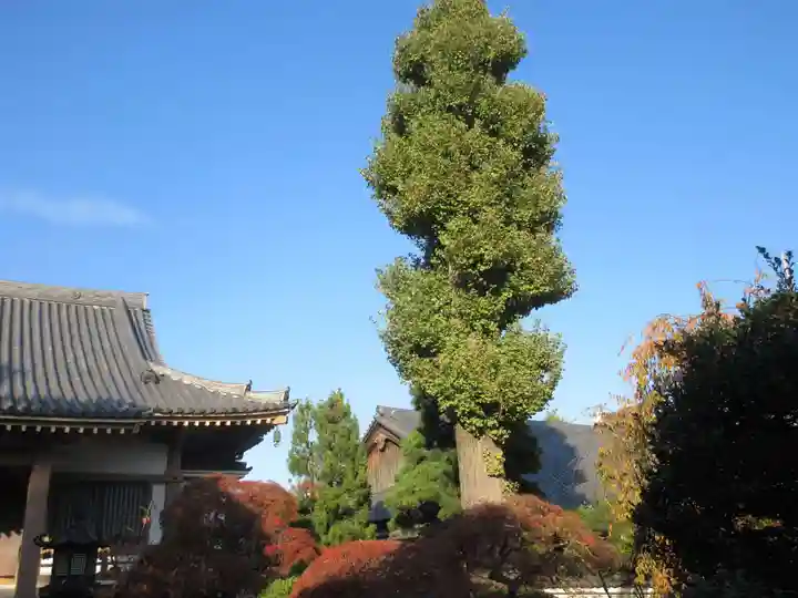 正覚院(東京都)