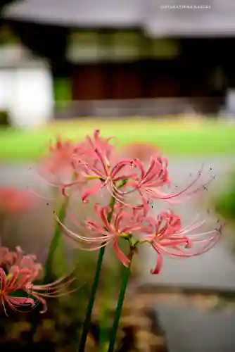 横浜　西方寺(神奈川県)