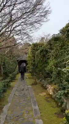 大光院(京都府)