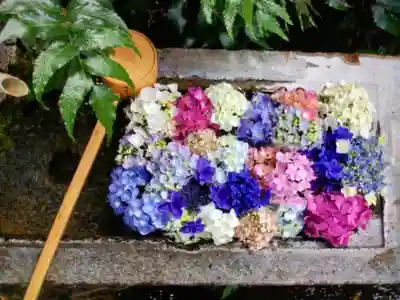 本郷氷川神社(東京都)
