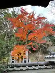 長光寺(神奈川県)