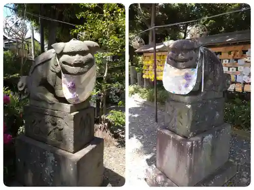 菊田神社の狛犬