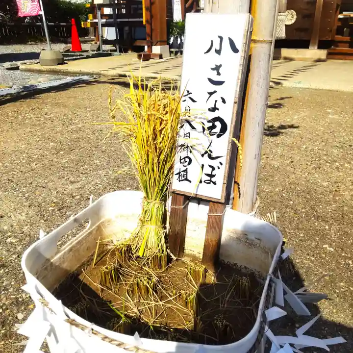 七重浜海津見神社(北海道)