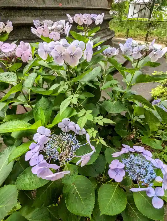 上野大佛の自然