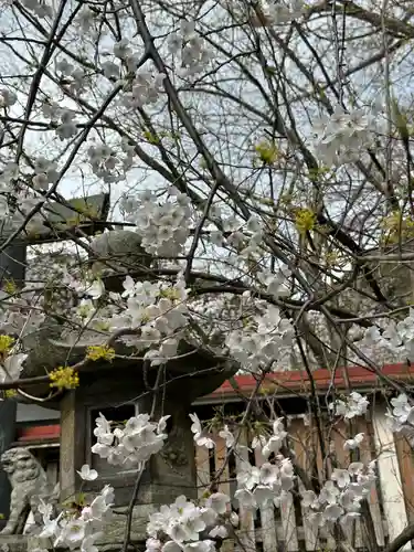 金崎宮(福井県)