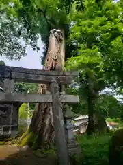 猩々の宮(福井県)