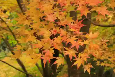 常照寺(京都府)
