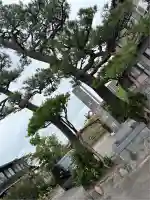 正法寺(愛知県)