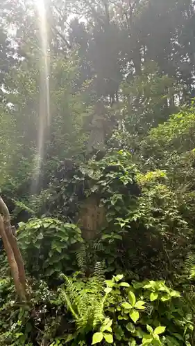 八王子神社(東京都)