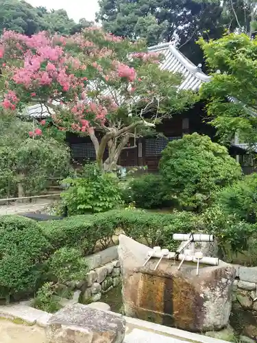 満願寺の手水舎