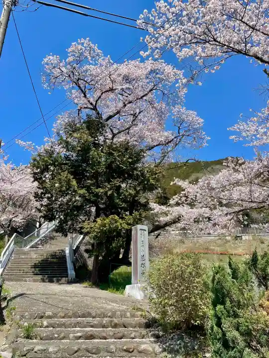 慈眼寺の{uncategorized: "未分類", other: "その他", undefined: "問題あり", building: "その他建物", grave: "お墓", sacred_gate: "鳥居", guardian: "狛犬", statue: "像", buddha: "仏像", history: "歴史", nature: "自然", garden: "庭園", animal: "動物", pagoda: "塔", temizu: "手水舎", mountain_gate: "山門・神門", sanctuary: "本殿・本堂", subordinate: "末社・摂社", art: "芸術", scenery: "景色", jizo: "地蔵", ema: "絵馬", goshuin: "御朱印", omikuji: "おみくじ", items: "授与品その他", amulet: "お守り", goshuincho: "御朱印帳", eats: "食事", festival: "お祭り", votive_dance: "神楽", shichigosan: "七五三参", wedding: "結婚式", experience: "体験その他", initially: "初詣", around: "周辺", anti_infection: "感染症対策"}