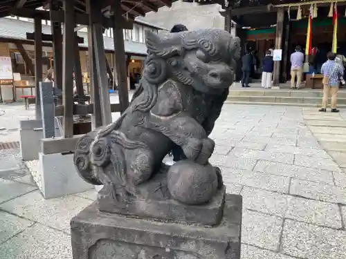 太田杉山神社・横濱水天宮の狛犬